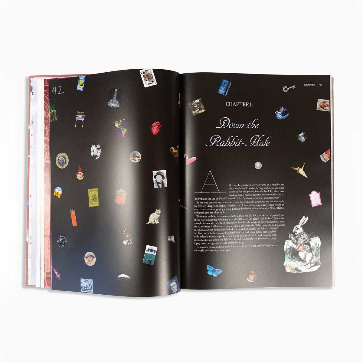 Alice in Wonderland Art Novel™
