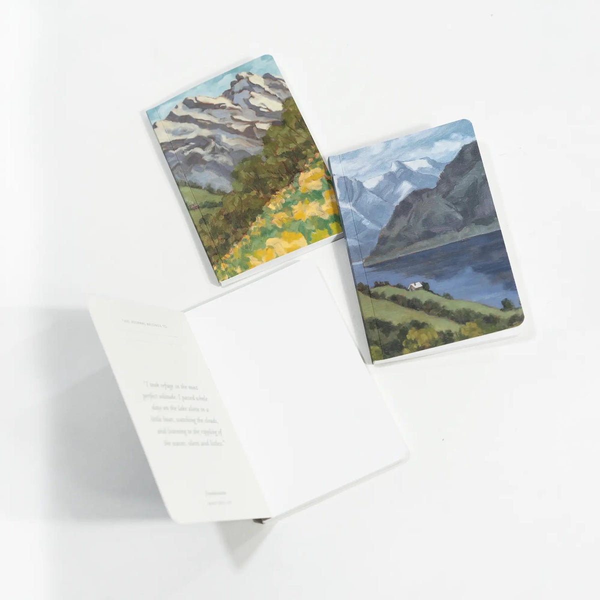 Set of 3 Pocket Journals - Landscapes of Frankenstein En Plein Air
