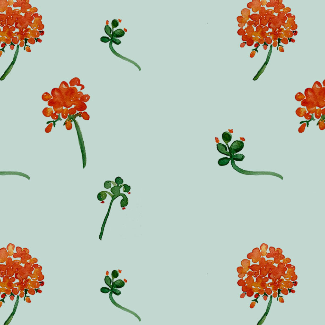 Poppy Wrapping Paper