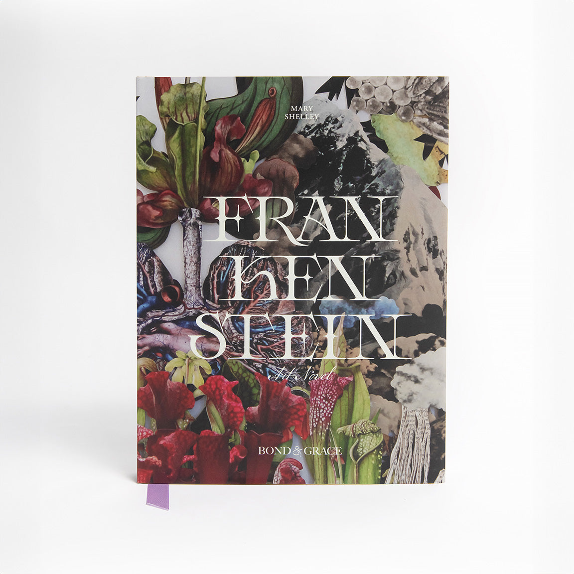 Frankenstein Art Novel™