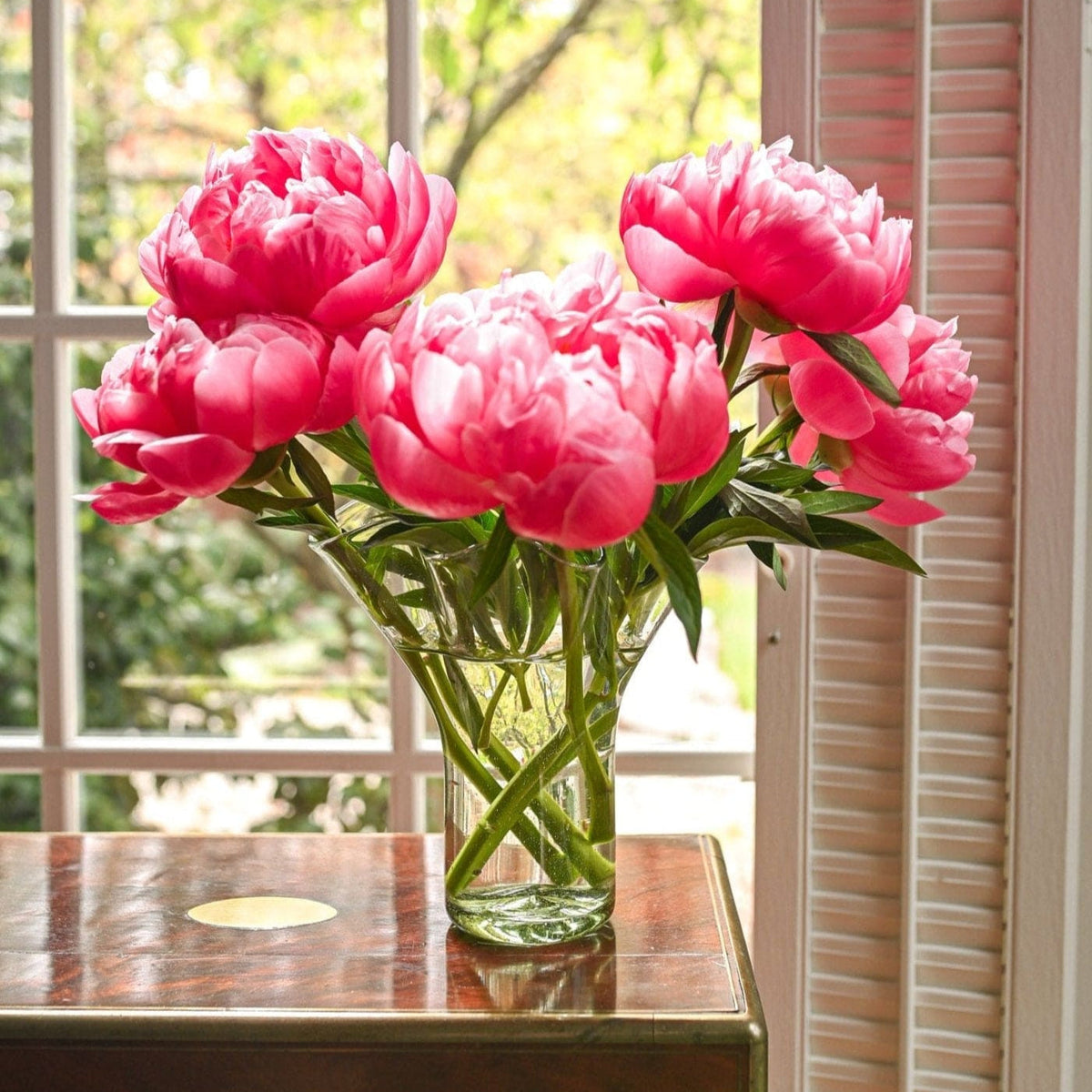 The Original Lettuce Leaf Vase | Half Past Seven